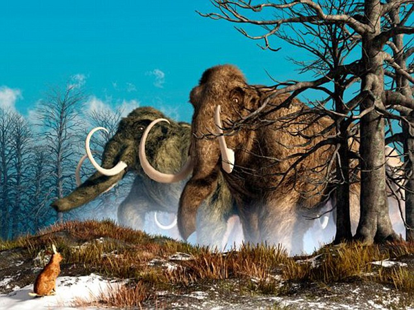 Giả thuyết hàng đầu hiện nay là khi khí hậu trở nên ấm hơn vào cuối kỷ Băng hà cuối cùng, tức xấp xỉ 14.500 năm trước, loài người đã tiến xa hơn về phía Bắc. Được trang bị những ngọn giáo sắc lẻm, họ sớm leo lên đỉnh của chuỗi thức ăn.