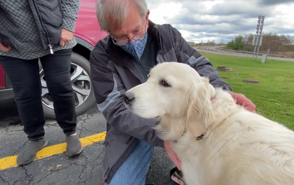 Khi mọi nỗ lực tìm kiếm gần như đã trở nên vô vọng, họ chỉ còn biết cách nhờ người thân đăng thông tin liên quan lên mạng xã hội và hy vọng rằng có ai đó vô tình bắt gặp chú chó của mình, đồng thời sẵn sàng hậu tạ 500 USD.