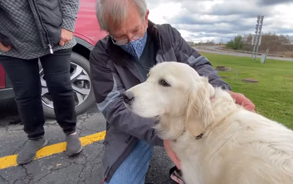 Khi mọi nỗ lực tìm kiếm gần như đã trở nên vô vọng, họ chỉ còn biết cách nhờ người thân đăng thông tin liên quan lên mạng xã hội và hy vọng rằng có ai đó vô tình bắt gặp chú chó của mình, đồng thời sẵn sàng hậu tạ 500 USD.