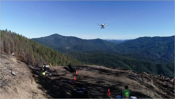 Trồng lại rừng từ trên không không phải là cách tiếp cận mới. Các chuyên gia cho biết phương pháp này rẻ hơn, dễ hơn là trồng bằng tay nhưng có thể không hiệu quả bằng.