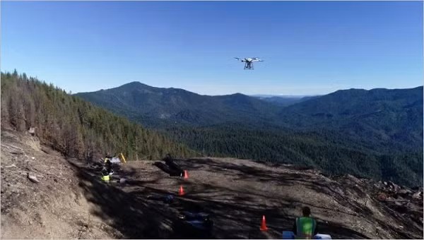 Trồng lại rừng từ trên không không phải là cách tiếp cận mới. Các chuyên gia cho biết phương pháp này rẻ hơn, dễ hơn là trồng bằng tay nhưng có thể không hiệu quả bằng.
