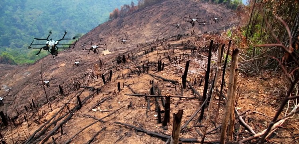 Điều quan trọng là chọn đúng loại hạt và thả hạt đúng chỗ. Các gói hạt được thiết kế đặc biệt của DroneSeed gồm cả phân bón, chất dinh dưỡng và chất ngăn côn trùng để giúp hạt bám rễ hiệu quả hơn mà không cần phải đào đất chôn hạt.