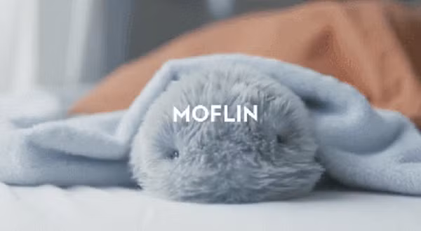 Bên cạnh đó, Vanguard Industries - công ty thiết kế và đổi mới có trụ sở tại Tokyo đã và đang thực hiện các dự án như máy bay không người lái trên cạn và trên mặt nước ghế có thể điều chỉnh với lớp bọc mà bạn có thể lật lại như các trang trong một cuốn sáchvà một món đồ chơi được gọi là Nút thần tài.