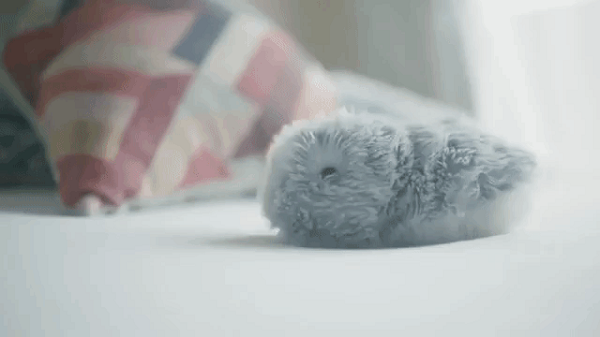 Vanguard Industries hy vọng sẽ cập nhật phần mềm mới cho Moflin trong tương lai để kéo dài tuổi thọ của nó đồng thời cải thiện chức năng. Bạn sẽ không phải vứt bỏ một con vật cưng chỉ vì nó đã cũ, phải không?