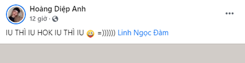 Hoàng Diệp Anh an ủi Linh Ngọc Đàm bằng dòng trạng thái có phần lầy lội.