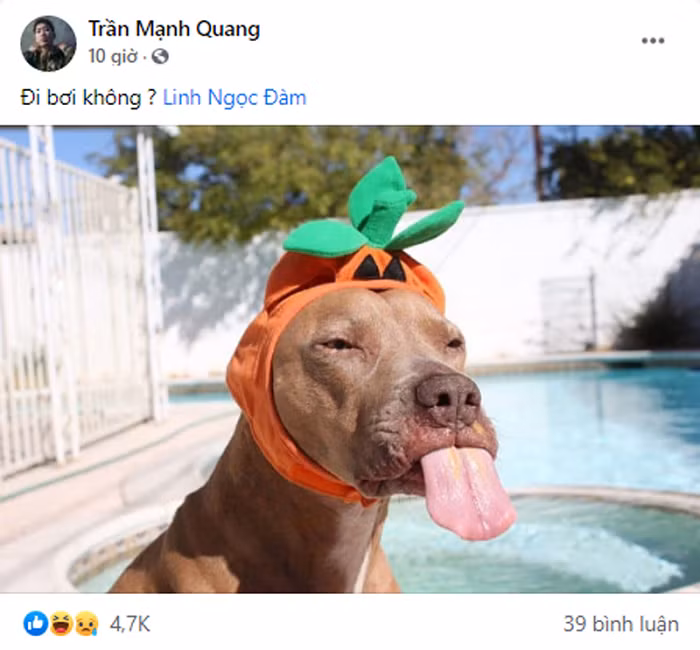 Đặc biệt, cô nàng còn khẳng định mình 'mắt thấy tai nghe' những điều không hay nên mới lên tiếng bảo vệ Thiều Bảo Trâm.