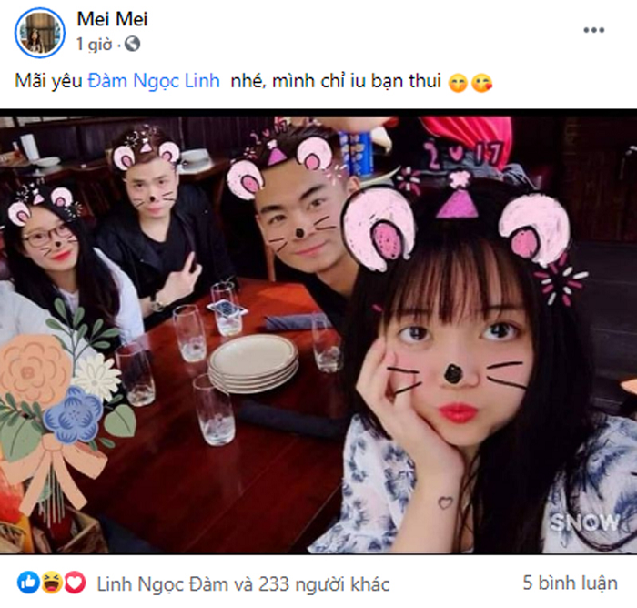 Có thể thấy rất nhiều bạn bè thân thiết lo lắng cho tình hình của nữ streamer.