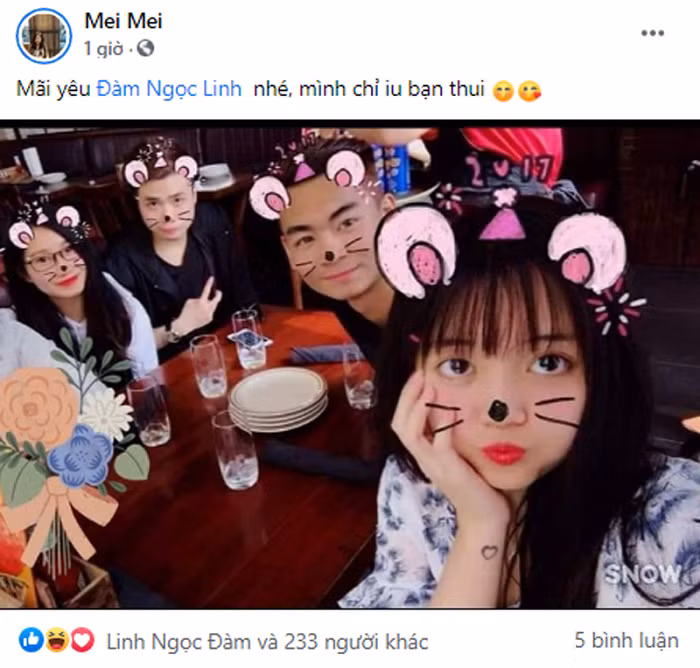 Có thể thấy rất nhiều bạn bè thân thiết lo lắng cho tình hình của nữ streamer.