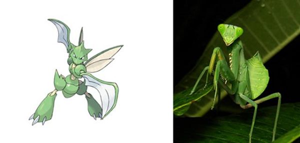 Scyther được lấy cảm hứng từ loài bọ ngựa trong thực tế với cặp mắt xanh và đôi càng sắc nhọn.