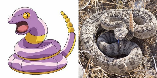 Trong khi rắn đuôi chuông là loài bò sát hung tợn, Ekans trong Pokemon lại sở hữu ngoại hình có phần... đáng yêu.