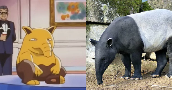 Kẻ cắp giấc mơ Drowzee có nguyên mẫu thực tế là loài lợn vòi của Malaysia, chúng sở hữu chiếc mũi dài hơn lợn thường và có hình dáng rất giống vời loài voi.