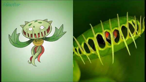 Carnivine được sáng tạo dựa trên loài hoa ăn thịt, trong tự nhiên loài hoa này chuyên săn và tiêu hóa đám côn trùng xấu số.