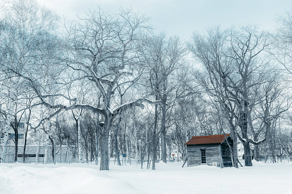 Khung cảnh phủ đầy tuyết trắng đẹp đến nao lòng.