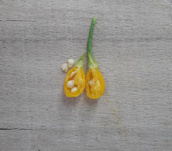 Ớt Charapita thường được cho vào các món súp, thêm vào món salad, các món thịt… Danh sách công thức các món ăn có thể thêm ớt Charapita có thể dài vô tận, bởi đây là loại gia vị phổ biến ở nhiều quốc gia, được nhiều đầu bếp ưa thích.