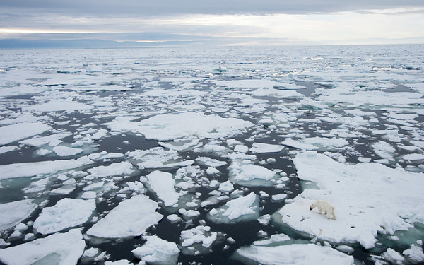 Dữ liệu vệ tinh cho thấy lớp băng vĩnh cữu đang che giấu một tổ hợp gồm các khối lớn của vỏ trái đất được gọi là cratons, giống như phần nền móng của lục địa.