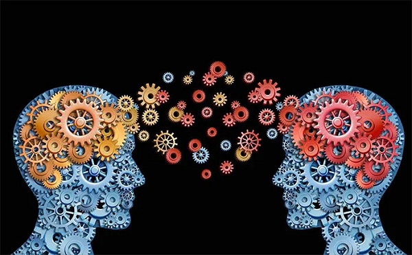 Bộ não của đàn ông giống CPU, chỉ giỏi xử lý đơn nhiệm, tức là việc nào ra việc đó, giải quyết từng việc một. Nhưng bộ não của phụ nữ lại giống như GPU, có thể xử lý đa nhiệm nhiều việc cùng lúc.