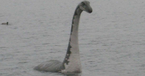 Tuy nhiên, nhiều người thắc mắc rằng liệu chúng ta sẽ cố gắng bảo tồn quái vật hồ Loch Ness, hay sẽ tiêu diệt nó để làm mẫu vật nghiên cứu.