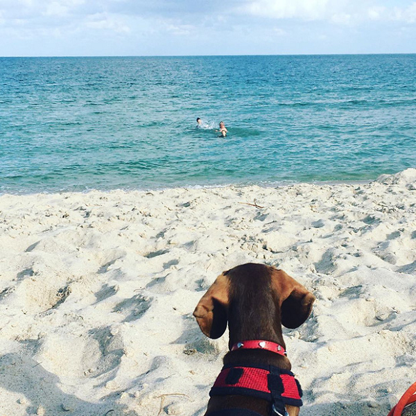 Tình hình đại dịch trở nên phức tạp, khiến tương lai việc nhà Eilbeck quay lại Mỹ trở nên mù mờ hơn bao giờ hết. Pip vì thế sẽ phải trải qua hành trình đến Úc một thân một mình.