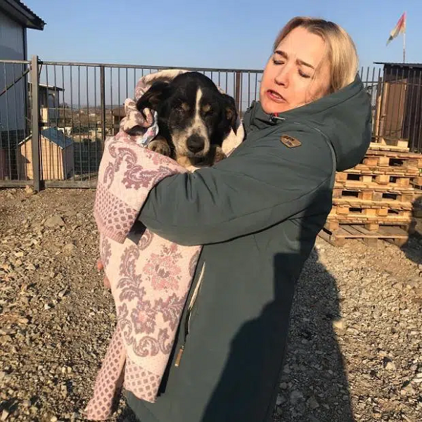 Thế nhưng, thực tế là chú chó Dik vẫn chưa chết. Con vật thậm chí còn đủ sức để tự thoát khỏi ngôi mộ được đào nông và chui ra bên ngoài. Việc "đội mồ sống dậy" khiến Dik không khỏi tổn hao nhiều sức lực. Con vật rã rời được nhìn thấy nằm rạp trên đường bởi một vài người đi đường trước khi họ giúp mang nó đến trung tâm bảo hộ động vật địa phương.