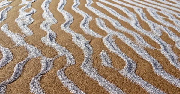 Mọi người trên mạng xã hội bắt đầu chia sẻ những hình ảnh hoạt động trong thời tiết lạnh giá như làm người tuyết, cùng nhau ngồi bên đống lửa trên sa mạc phủ đầy tuyết, những chú lạc đà vẫn đứng vưng trong thời tiết băng giá.