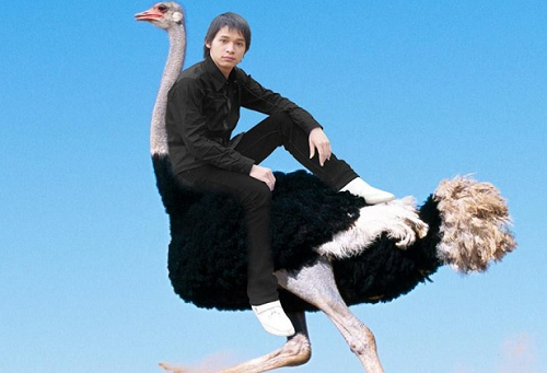 Với lối nói chuyện mặc dù có hơi "bỗ bã" nhưng lại cực kỳ có duyên, hài hước, tạo được sự gần gũi, thích thú, thoải mái cho người xem, Độ Mixi đã dần xây dựng được cho mình một cộng đồng fan cứng đông đảo.