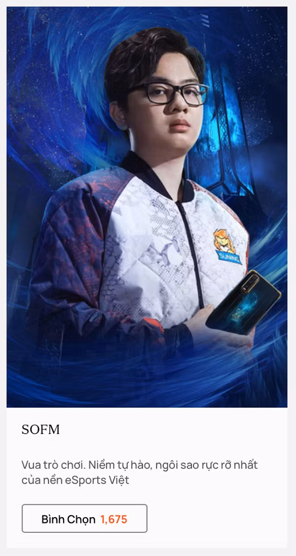 Nhắc tới eSports Việt 2020, chắc chắn Sofm là cái tên để lại nhiều ấn tượng nhất đối với cộng đồng mạng. Chẳng những xóa dớp vô duyên với các vòng CKTG, Sofm thậm chí còn lọt vào tới tận trận đấu cuối cùng, qua đó xác lập lịch sử khi trở thành người Việt Nam đầu tiên tiến tới trận chung kết của các vòng CKTG.