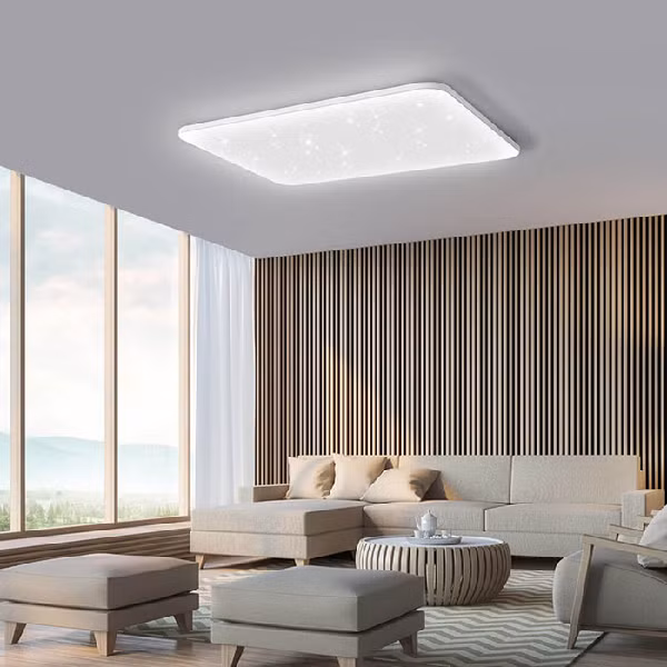 Đèn trần của hãng Nobi là đèn trần thông minh nhất từ trước đến nay. Sản phẩm tích hợp các cảm biến và sử dụng AI để phát hiện nếu người trong nhà gặp sự cố. Đèn này cũng được trang bị máy phát hiện khói, cảm biến đo chất lượng không khí, kết nối Wi-Fi và 4G để gửi cảnh báo.