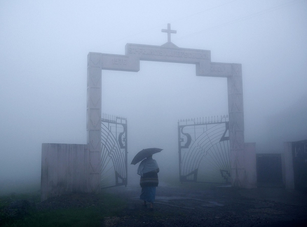 Tại nơi ẩm ướt nhất Trái Đất này, bạn sẽ được chiêm ngưỡng cảnh tượng những đám mây cuộn tròn bên vách núi thẳng đứng. Mây bay vào nhà là hiện tượng quen thuộc ở đây. Du khách còn có thể chạm, ngửi và nếm mây. Mưa liên tục khiến cây cối trong vùng phát triển tươi tốt.
