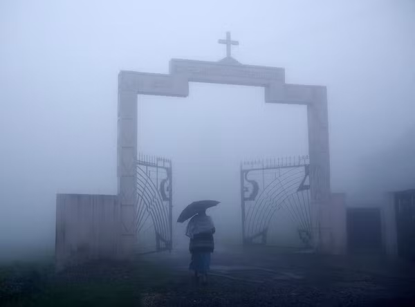 Tại nơi ẩm ướt nhất Trái Đất này, bạn sẽ được chiêm ngưỡng cảnh tượng những đám mây cuộn tròn bên vách núi thẳng đứng. Mây bay vào nhà là hiện tượng quen thuộc ở đây. Du khách còn có thể chạm, ngửi và nếm mây. Mưa liên tục khiến cây cối trong vùng phát triển tươi tốt.