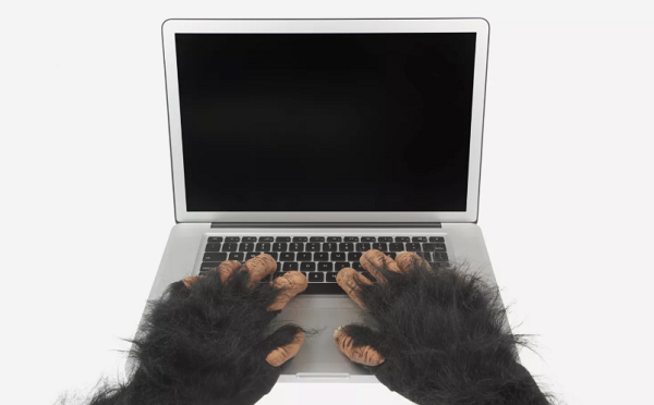 Định lý con khỉ vô hạn nói rằng, nếu bạn cho 1 con khỉ 1 cái máy đánh chữ và không giới hạn thời gian. Trong tất cả những ký tự mà nó gõ ra, chắc chắn sẽ tìm được một phần văn bản có ý nghĩa.