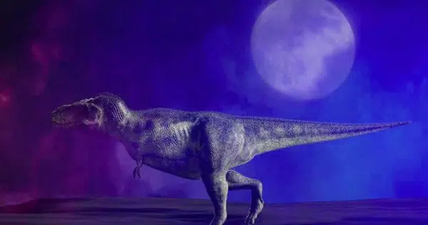 Khi tiểu hành tinh rộng 10 km lao xuống Trái Đất 66 triệu năm trước (sự kiện này được gọi là Chicxulub), loài khủng long đã bị quét sạch.