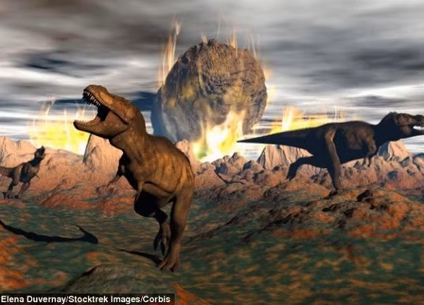 Rất có thể, nếu tìm kiếm kỹ càng, chúng ta sẽ phát hiện xương của chúng trên 2 hành tinh này.