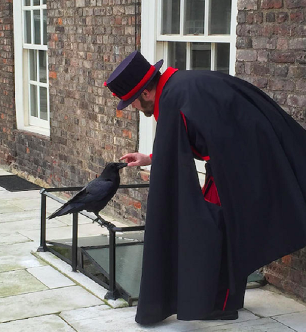 Theo những tài liệu còn lưu lại, vua Charles II là người mê tín và luôn lo sợ những con quạ bởi chúng tượng trưng cho điềm xấu. Thời bấy giờ, đài quan sát thiên văn đầu tiên được đặt ở phía đông bắc của tháp Trắng. John Flamsteed - một nhà thiên văn học đã tâu với vua Charles II xin được đuổi lũ quạ đi do chúng cản trở tầm quan sát.