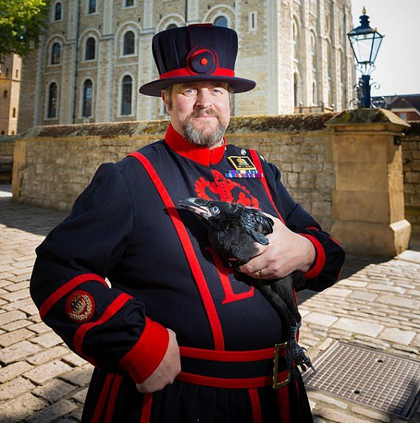 Nếu Merlina được xác nhận đã chết, dân số quạ đang sống tại Tháp London sẽ còn lại 7 con. Theo truyền thuyết, cần ít nhất 6 con quạ sống ở đây để Vương quốc Anh không sụp đổ.