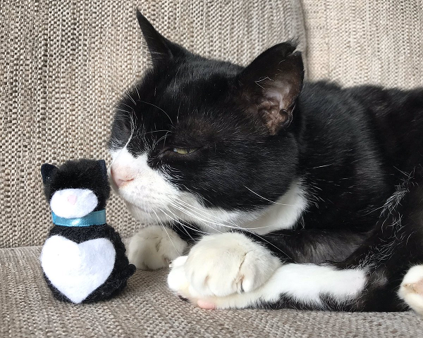 Ngay cả những chú động vật cũng đóng một vai trò và công việc quan trọng như bất kì ai khác. 