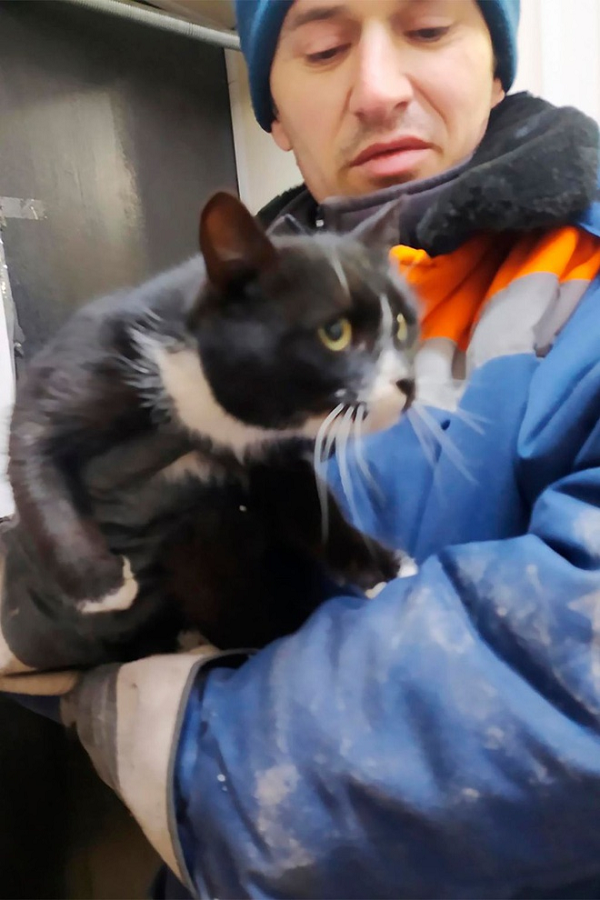 Trong một clip trích từ camera giám sát ở một nhà máy xử lý chất thải ở vùng Ulyanovsk (Nga), một công nhân đã cứu sống chú mèo khi đang phân loại rác trên băng chuyền. Đoạn video sau đó được chia sẻ nhiều trên mạng xã hội vào tuần qua.