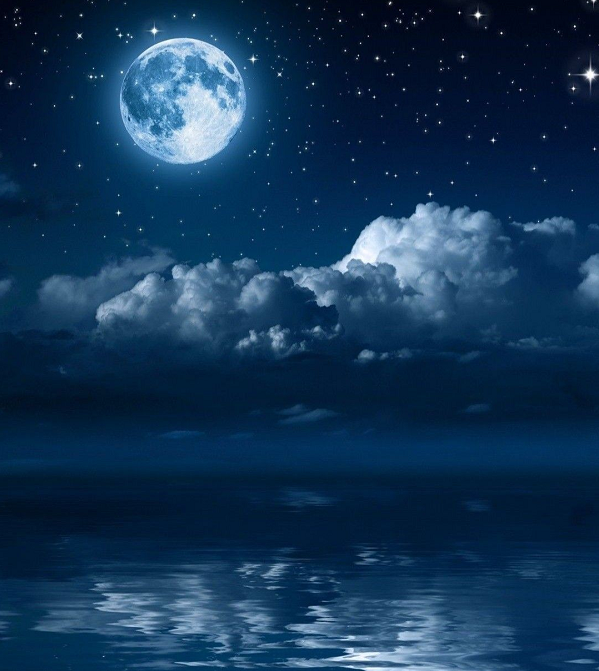 Một trong những tuyên bố gây tranh cãi hơn mà một số nhà nghiên cứu đã đưa ra là nếu không có sự hiện diện của mặt trăng, sự sống trên Trái đất có thể không phát triển. Không chắc chắn liệu cuộc sống có phát triển hay không, nhưng sự hiện diện của mặt trăng và thủy triều chắc chắn đã giúp ích trong những bước đi khó khăn đầu tiên của sự sống trên Trái đất.