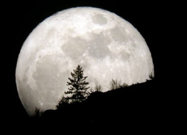 Dự đoán liệu cuộc sống có phát triển và đa dạng mà không có mặt trăng hay không là không thể, nhưng sự di chuyển của sự sống từ đại dương lên đất liền chắc chắn được tạo điều kiện thuận lợi nhờ lực hấp dẫn hữu ích của mặt trăng.