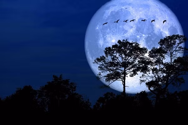 Do đó, thuỷ triều của Trái đất xuất hiện do sự dâng lên của mực nước bên phần Trái đất đối diện với Mặt trăng. Thủy triều cao xảy ra trên bờ biển khoảng 12 giờ một lần, và thủy triều thấp 6 giờ sau đó.