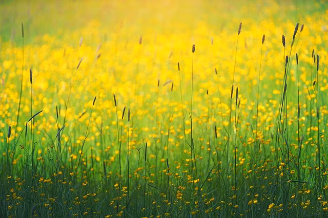 Đối với những con giáp này, dù năm 2022 có diễn biến như thế nào thì họ vẫn có một kết thúc tốt đẹp vào cuối năm nay. Những người trải qua nhiều thăng trầm càng có thêm nhiều bài học kinh nghiệm, trưởng thành về mọi mặt, năng lực vững vàng hơn và thời gian tới tốc độ phát triển cũng sẽ gia tăng, thành công vào cuối năm nay.