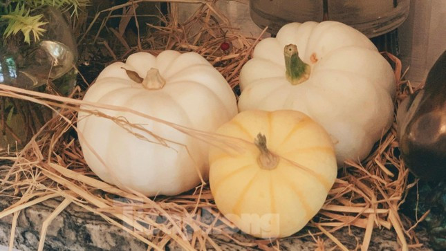 Nguoi Ha Noi ''phat sot'' voi nhung loai rau qua dep khong no an-Hinh-3