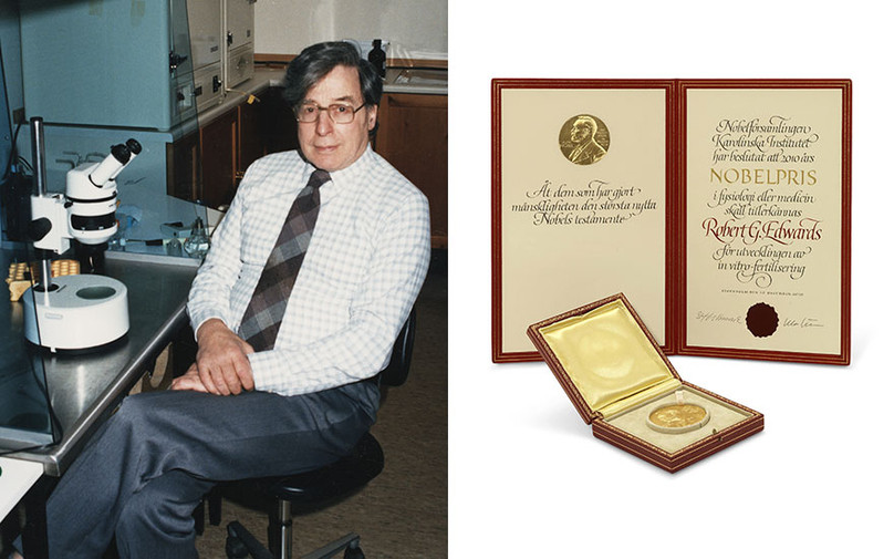 Nhung dieu thu vi ve cha de cua phuong phap thu tinh trong ong nghiem-Hinh-5