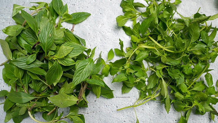 Xưa kia, lá é được coi là một loại rau gia vị thơm ngon, dùng để tiến vua nên mới gọi là "cây tiến thực".