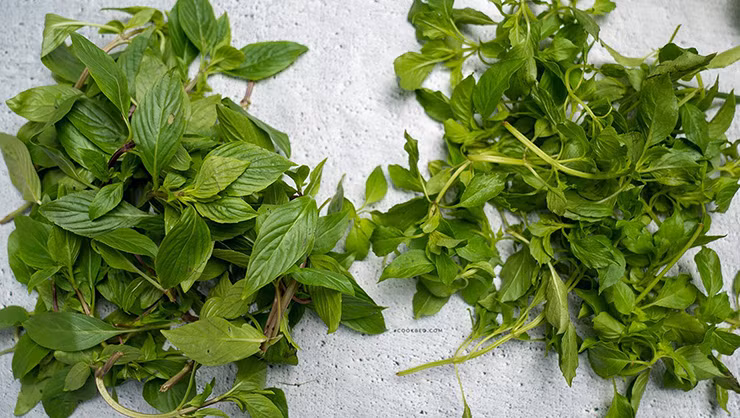 Xưa kia, lá é được coi là một loại rau gia vị thơm ngon, dùng để tiến vua nên mới gọi là "cây tiến thực".