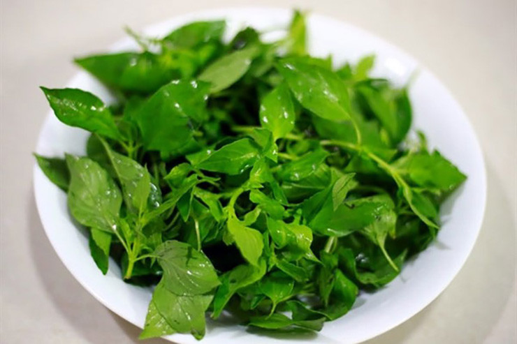 Lá é được dùng như một loại rau gia vị, giã nhuyễn để làm muối