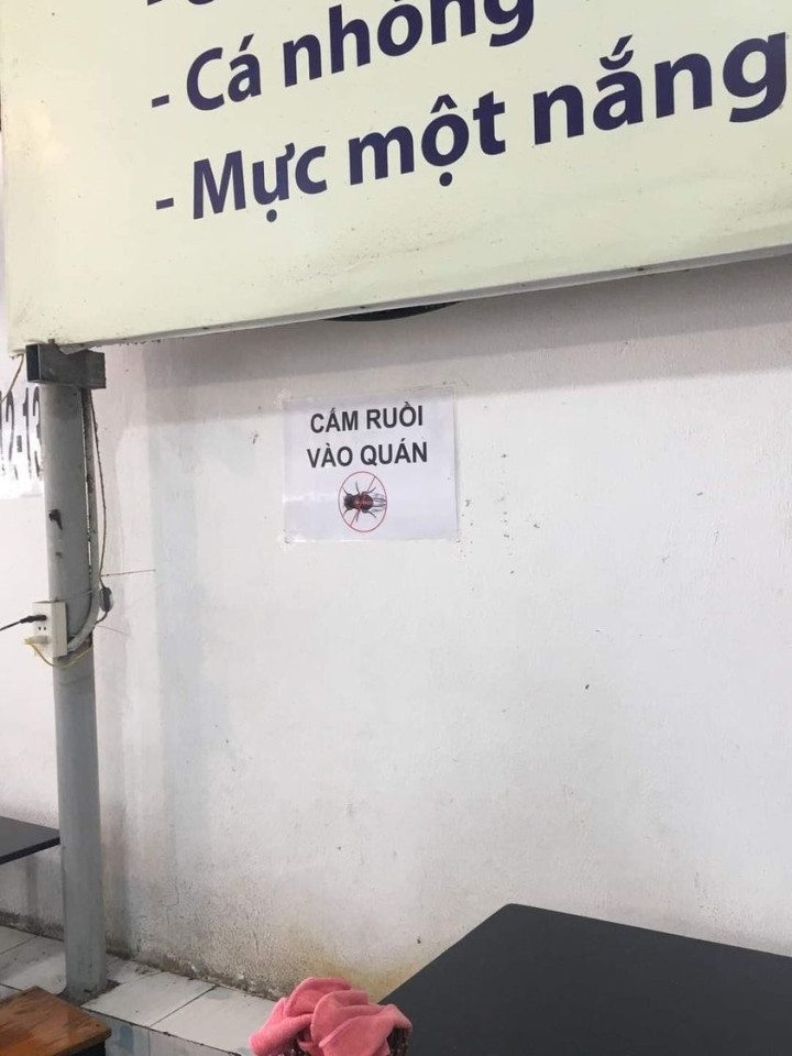 Ruồi đã đọc và đi ra. 