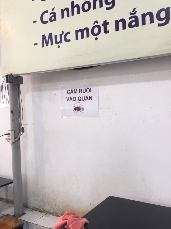 Ruồi đã đọc và đi ra. 