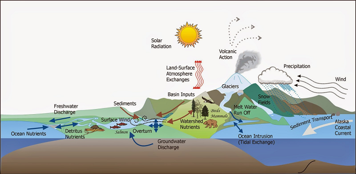 Theo giáo sư Zheng-Xiang Li từ Nhóm nghiên cứu động lực học Trái Đất - Trường Khoa học Trái Đất và hành tinh thuộc Đại học Curtin, việc tạo thành Amasia sẽ làm thay đổi đáng kể hệ sinh thái và môi trường Trái Đất.
