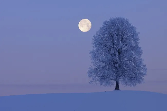 Mặt trăng đạt đến pha trăng tròn tháng Chạp âm lịch vào lúc 5h26 sáng ngày 14/1. Ảnh: Getty Images / Martin Ruegner.