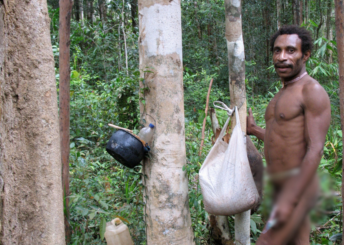 Những thành viên của bộ lạc Korowai sống trong ngôi nhà cây được dựng cách mặt đất 40m. Họ được cho là không biết đến sự tồn tại của các cộng đồng khác trên thế giới. Ảnh: cam.ac.uk.